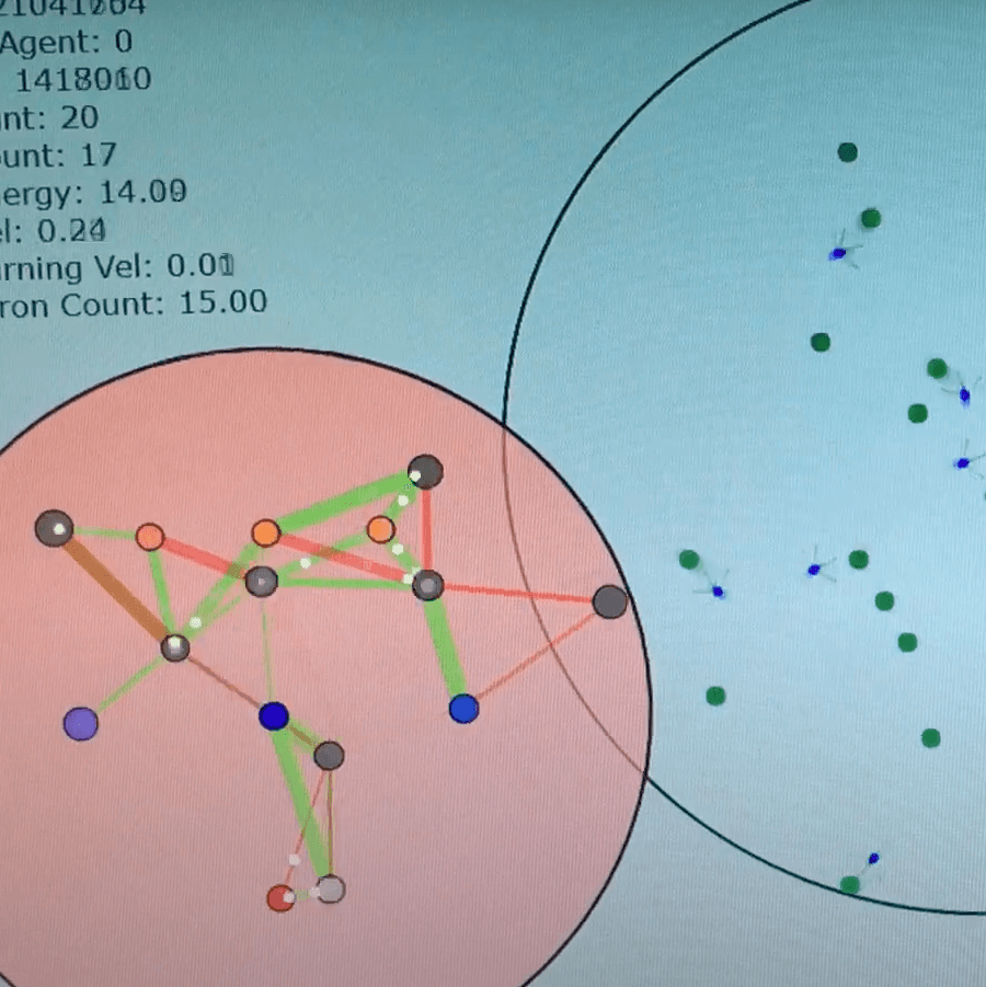 Evolution Simulation v4